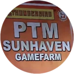 PTM Sunhaven Gamefarm using JN automatic egg incubator for gamefowl breeding.