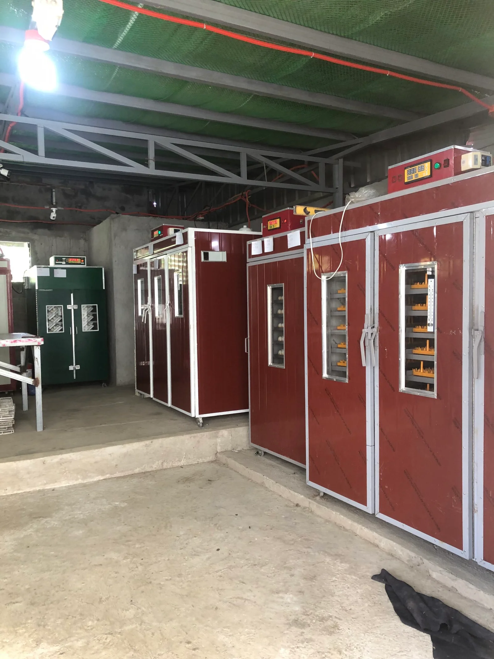 Large-scale customized automatic egg incubator and chicken egg incubator project by JN Egg Incubator Manufacturing with over 20,000 egg capacity.